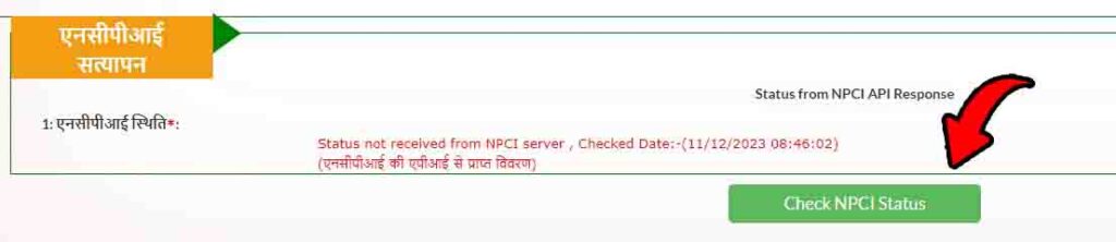 NPCI Server