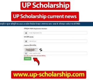UP Scholarship current news
