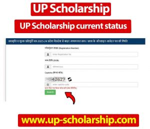 UP Scholarship current status