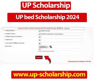 UP bed Scholarship 2024