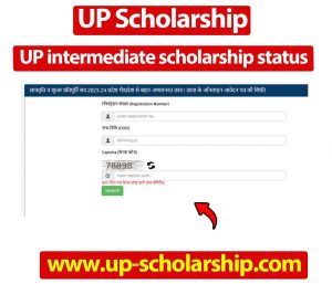 UP intermediate scholarship status